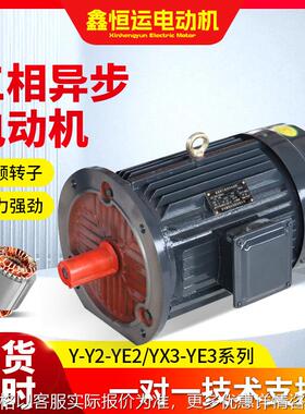 YE2-100L-2三相异步电动机3W三相电动机YE2-112M-2电机厂家