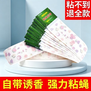 苍蝇贴粘蝇纸强力粘灭蝇彩带条诱杀沾蝇子蚊虫神器大号家用板捕捉