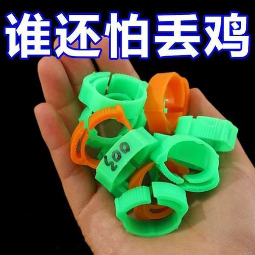 鸡脚环卡扣式鸡用脚环脚圈标记