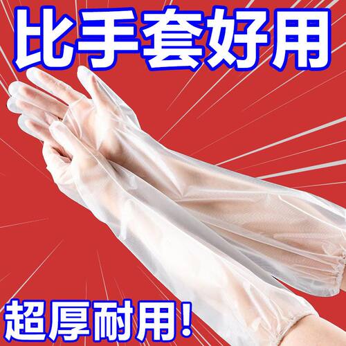 特厚家务手套加厚加长防水耐用CPE束口一次性厨房清洗碗洗衣手套