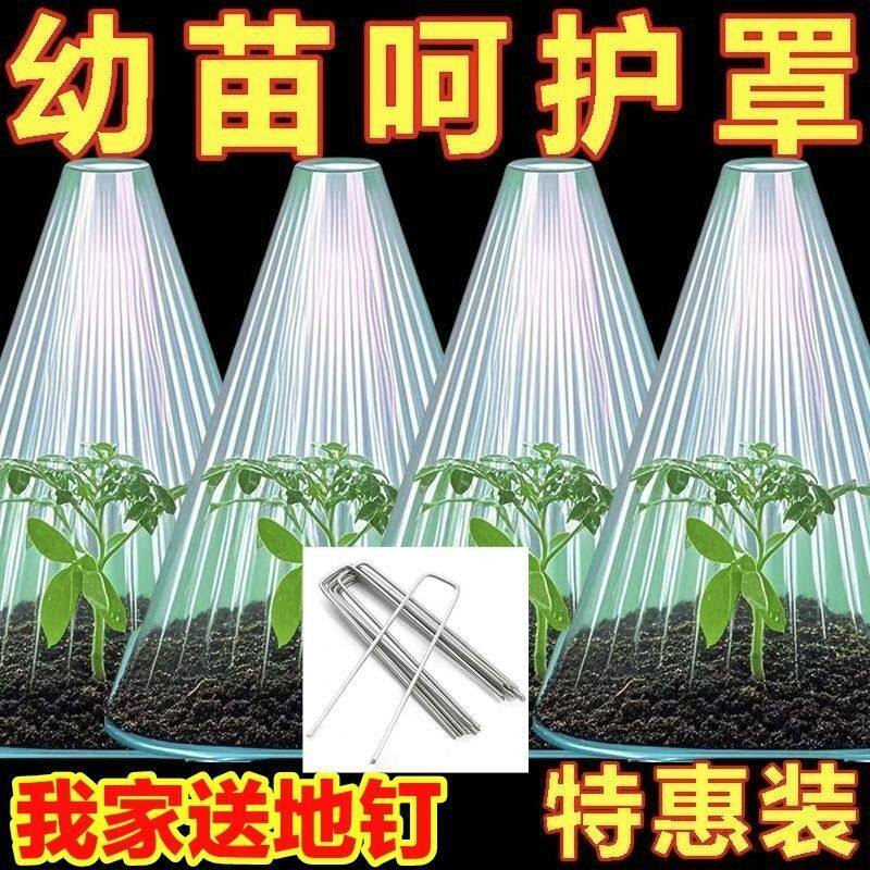 育苗保护罩透明钟罩可重复使用温室大棚免受鸟类霜冻伤害加厚保护