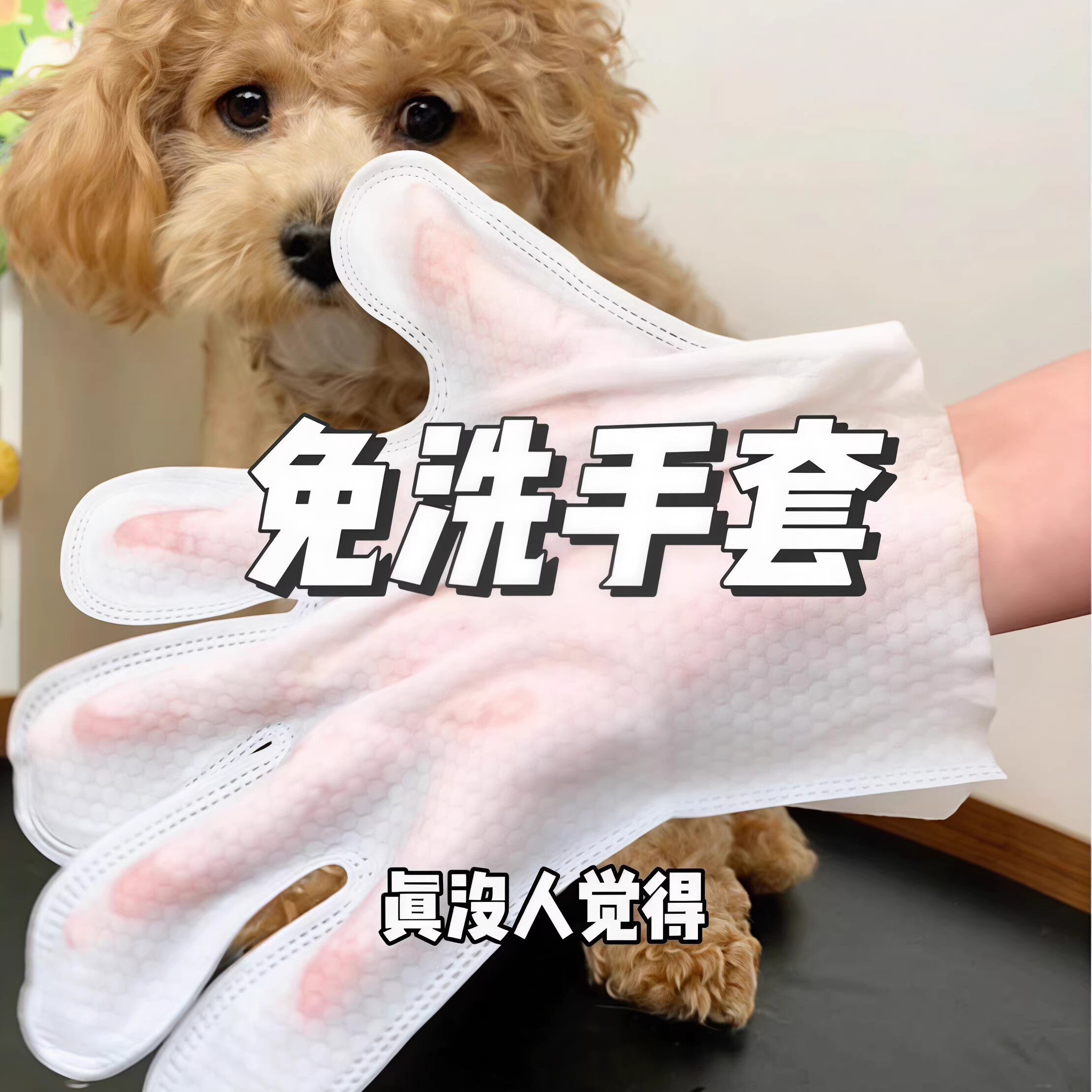宠物免洗手套猫咪洗澡宠物湿巾狗狗干洗清洁手套杀菌除臭免洗神器