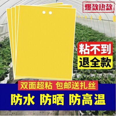 双面黄蓝诱虫板果园大棚用