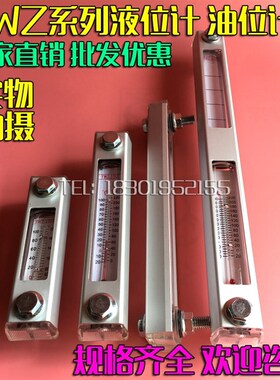 液位计油位计水位计YWZ-200T250T300T350T400T450T500T油标油温计