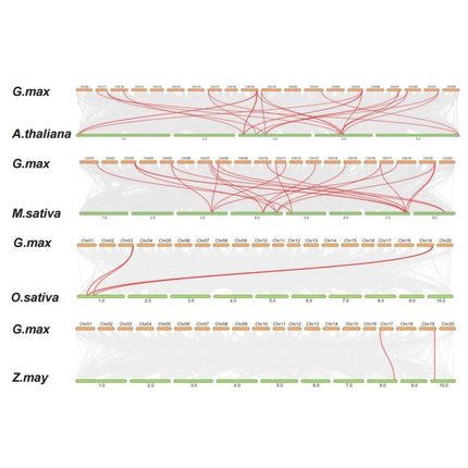 科研基因细胞蛋白代谢转录组宏基因全基因网药孟德尔MR生信分析服