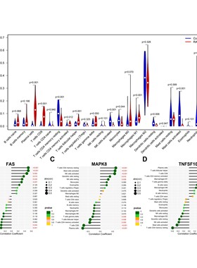 ChIPseq峰值分析服务