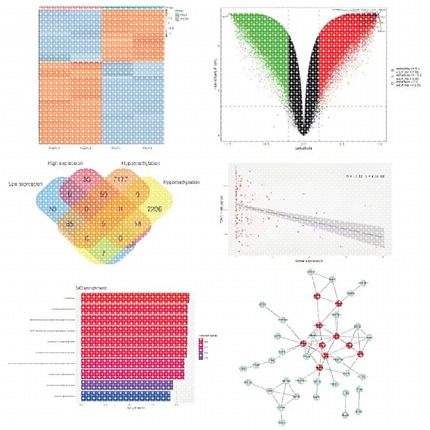 Python爬虫数据分析深度学习opencv神经网络代码nlp程序代做编程