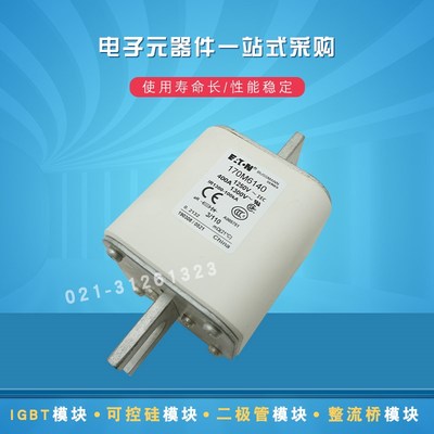 熔断器保险丝170M6125 6138 6139 6140 6141 6142 6143 6144 6145