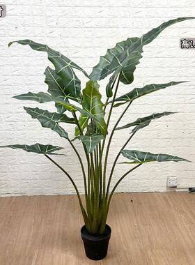 仿真仙芋树室内家居造景布置用热带风格大叶片假树盆栽萨利安海芋