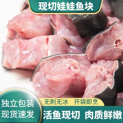 娃娃鱼块可食用人工养殖大鲵新鲜鱼块免洗无刺冷冻带骨鱼肉红烧鱼