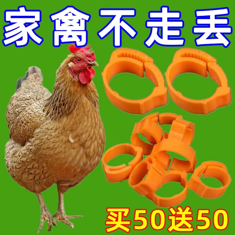 鸡脚记号防走失鸡用家禽专用扣环