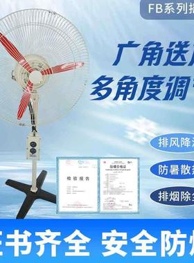 防爆摇头扇BTS FB-500工业防爆排风扇壁挂式落地扇牛角扇220V380V