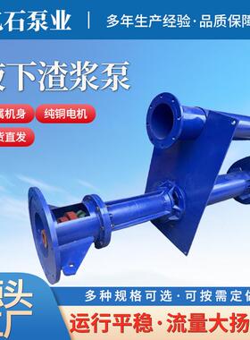 NL立式泥浆泵厂家鱼塘河道污泥清淤泵长轴矿用液下抽砂泵工厂