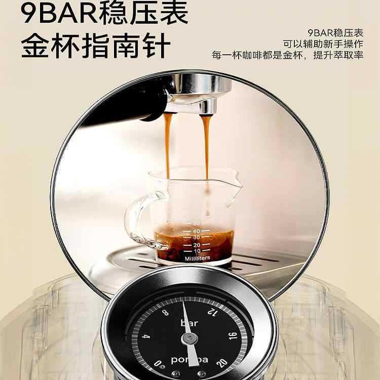other 623332674127Petrus/柏翠PE3366S小白醒醒升级款PRO意式半
