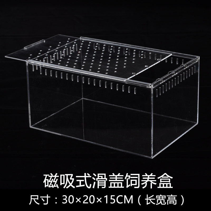 亚克力爬虫饲养盒爬虫盒角蛙蜘蛛蝎子守宫独角仙螳螂蟋蟀爬宠箱