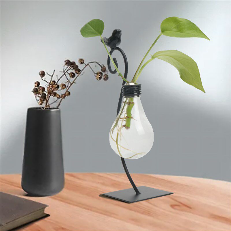 简约水培绿植架花瓶黑色铁艺花卉客厅书房桌面鸟灯泡精致绿萝摆件