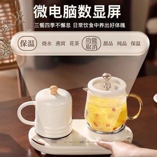 双座养生壶小容量养生杯办公室养生壶小型全玻璃养生壶恒温烧水壶