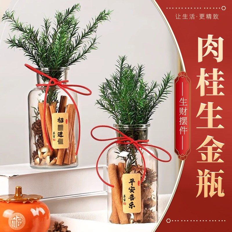 肉桂生财摆件招财聚米瓶玻璃瓶子diy材料包暴富香薰新年客厅装饰,家居饰品,国学摆件,淘宝优惠券,粉丝福利购,淘宝优惠卷