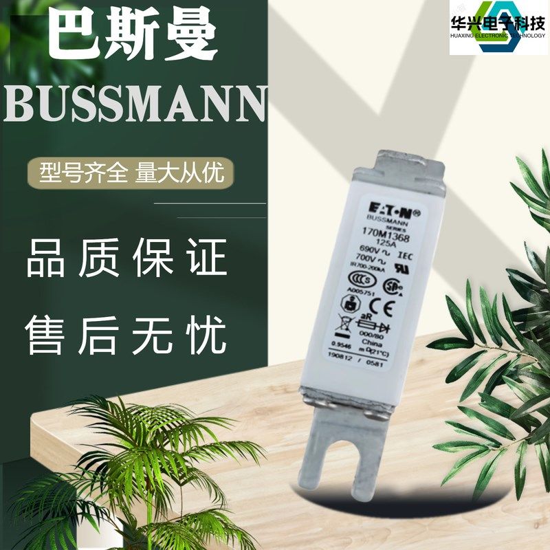 全新巴斯曼熔断器170M1368/69 170M1562/63 170M3142/44170M4269