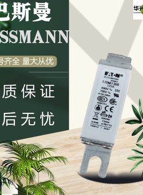 全新巴斯曼熔断器170M1368/69 170M1562/63 170M3142/44170M4269
