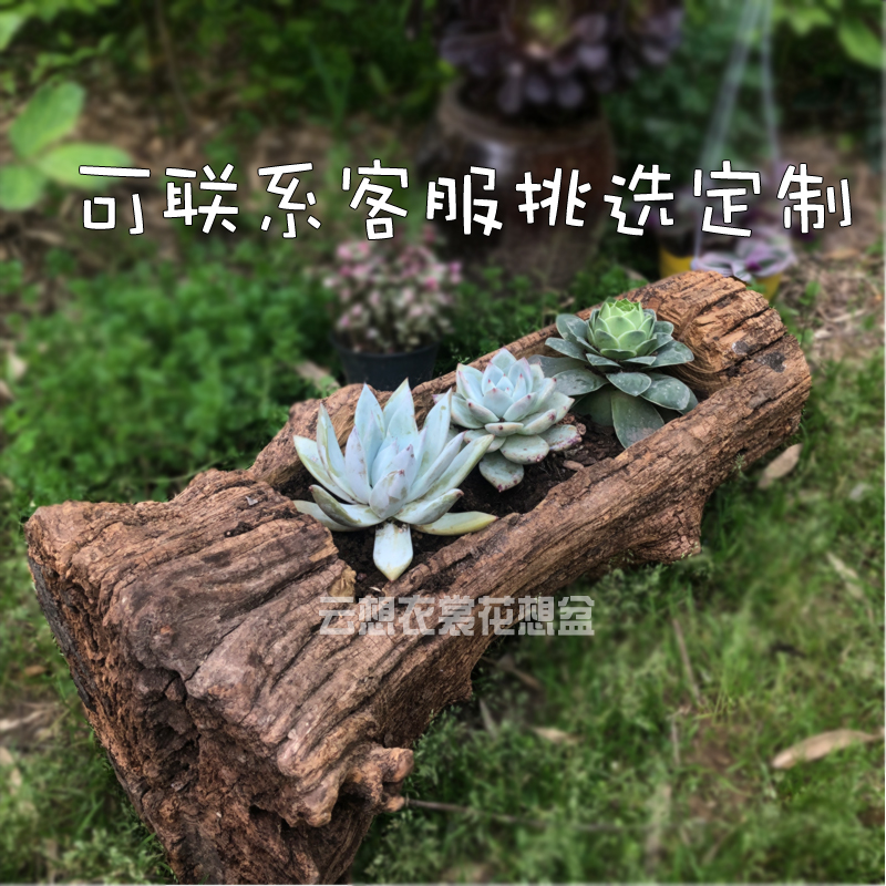 多肉花盆木头透气老木槽阳台创意盆栽长方形实木原生态风化老枯木