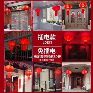 2025新款大红灯笼吊灯中国风新年春节装饰大门口阳台一对电池款小