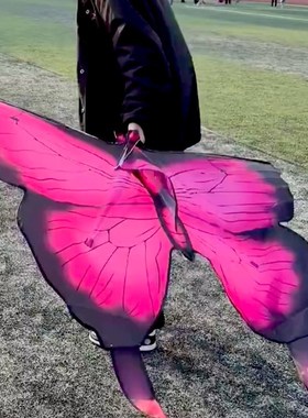 2024年春日蝴蝶风筝infp氛围网红成人儿童长尾野餐春游春户外道具