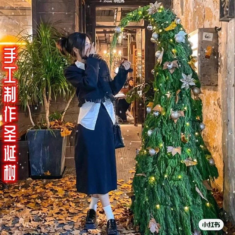 现剪松树枝鲜活天然松柏枝叶真正手工耶诞树装饰diy龙柏枝条摄影