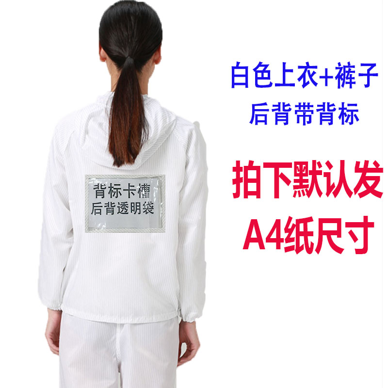 无尘服背标透明袋后背加卡槽电子厂车间食品厂喷漆防护洁净服连帽