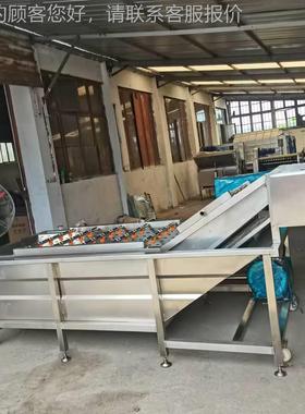 果蔬多用途泡气清水洗机 菜酱菜酸脱盐清洗线 果气浪PXJ清洗 机