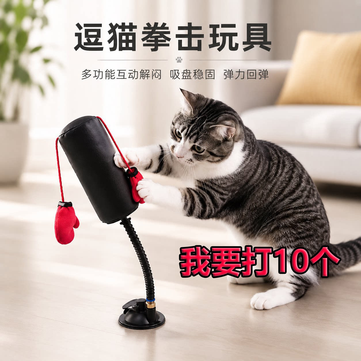 猫咪拳击手套咏春逗猫玩具逗猫棒