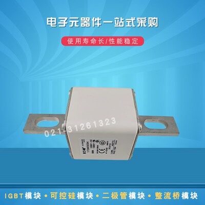 170M5649 5650 5658 5659 5660 5661 5662 5663快速熔断器保险丝