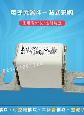 快速熔断器保险丝170M2608 2609 2610 2611 2612 2613 2614 2615
