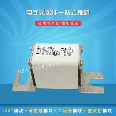快速熔断器保险丝170M2608 2609 2610 2611 2612 2613 2614 2615