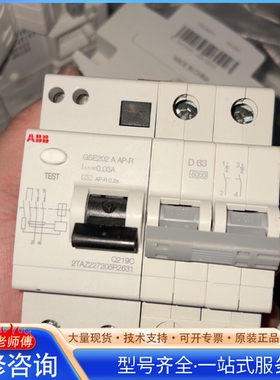 AB漏电保护器GSE202 A Ap-R D63A 2p漏 {议价}