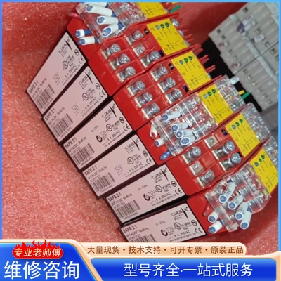 {议价}德国RIESE安全继电器SAFE 2.1 型号AR.9657