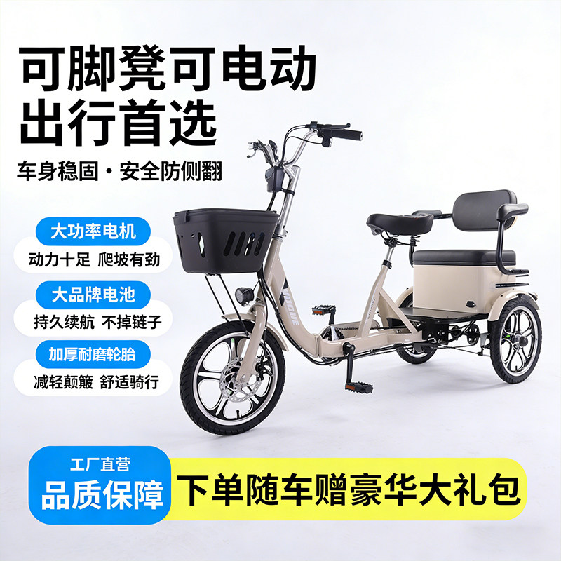 老年人电动三轮车代步车助力电动自行车家用男女双人小型接送孩子