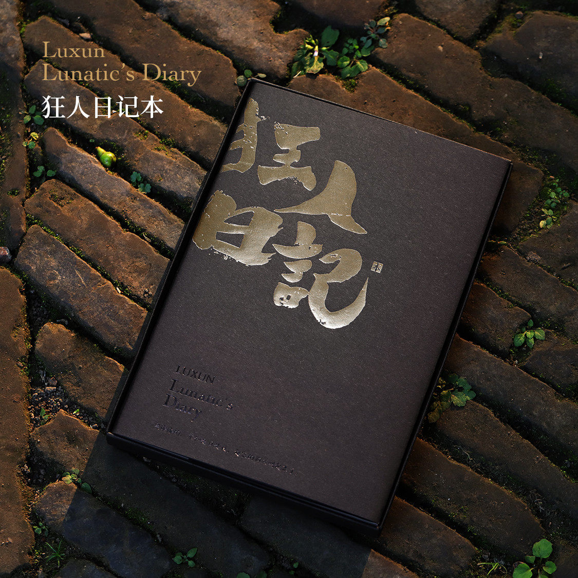 鲁迅故乡的礼物 迅文创 狂人日记手账本 绍兴鲁迅故里文创纪念品