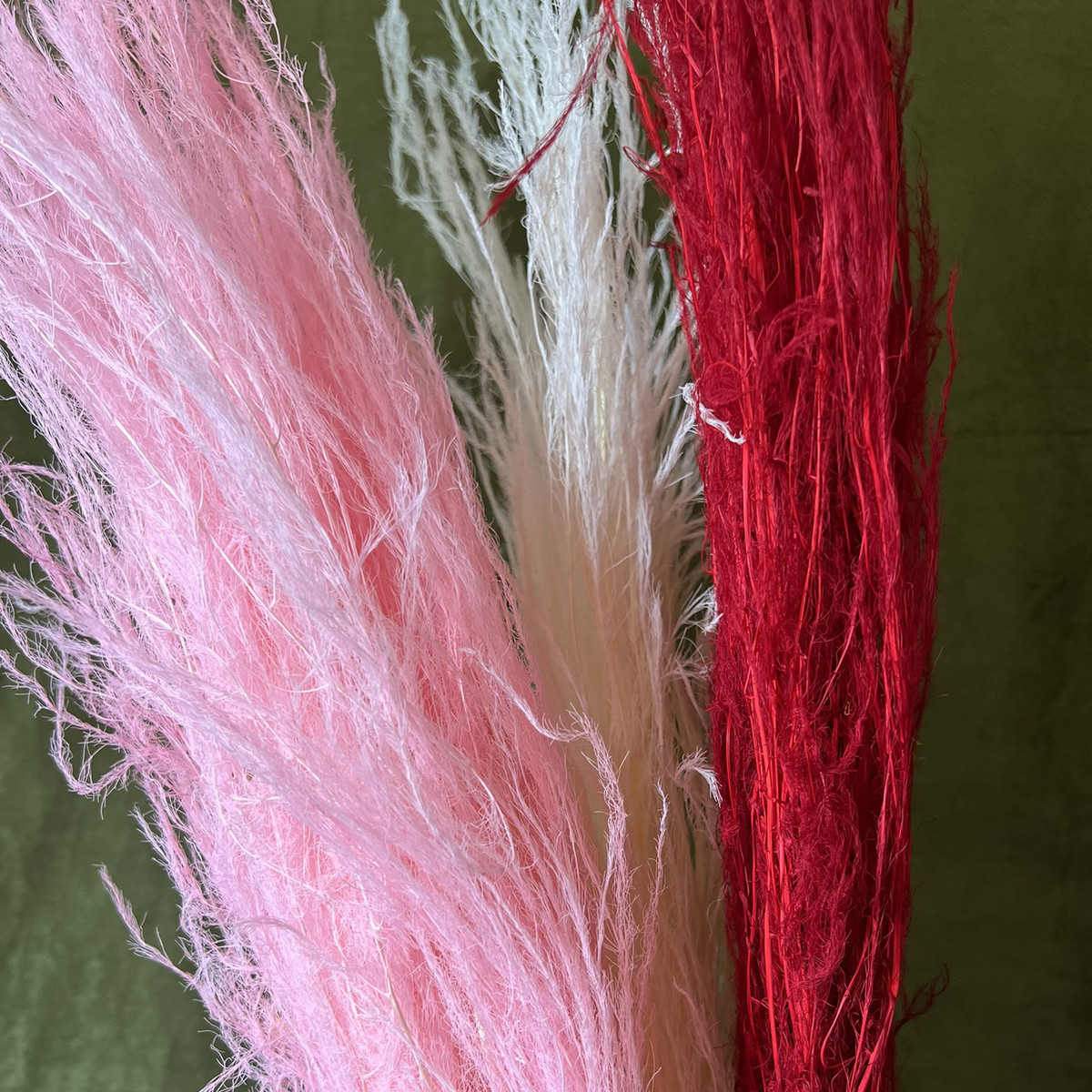 【龙须草】干花束吊米永生花毛毛草婚庆花艺装饰橱窗布置花材纯白