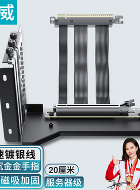 臻威（ZHENWEI）通用二/三挡显卡支架+4.0延长线 20CM 套装