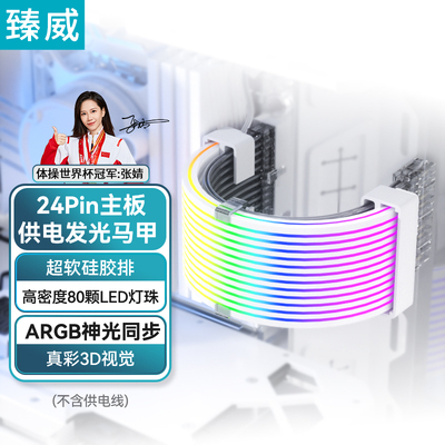 臻威 霓虹线发光板ARGB灯条8Pin显卡24Pin电源线马甲电脑机箱装饰