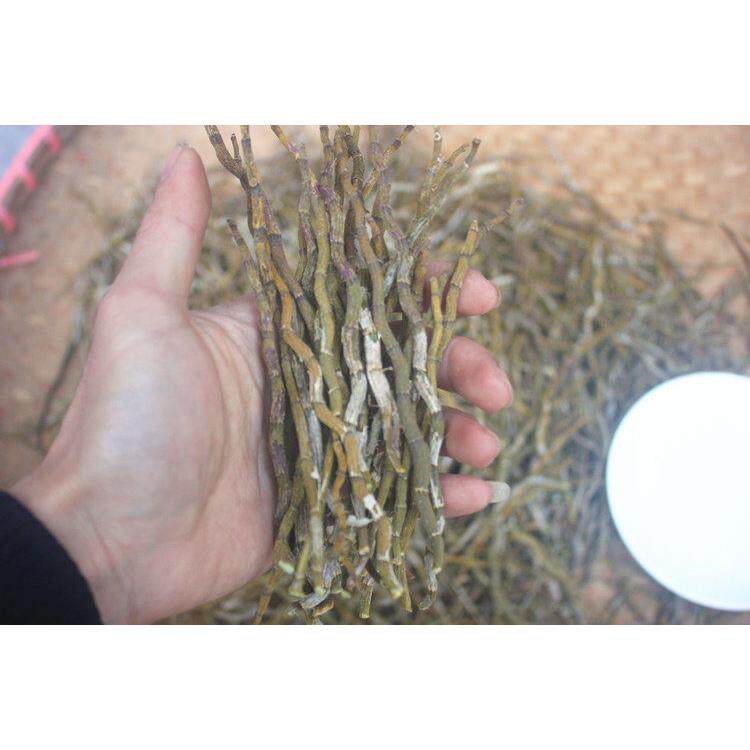 新疆西藏包邮乐清铁皮石斛寸金条 铁皮枫斗干条 直条 烤条直销 免