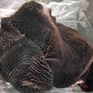 牛肚生牛毛肚肚牛大肚新鲜洗净真空火锅烧烤食材直销毛肚