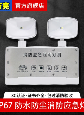 IP67防水防尘消防应急灯不锈钢停电紧急应急照明LED双头灯高品质