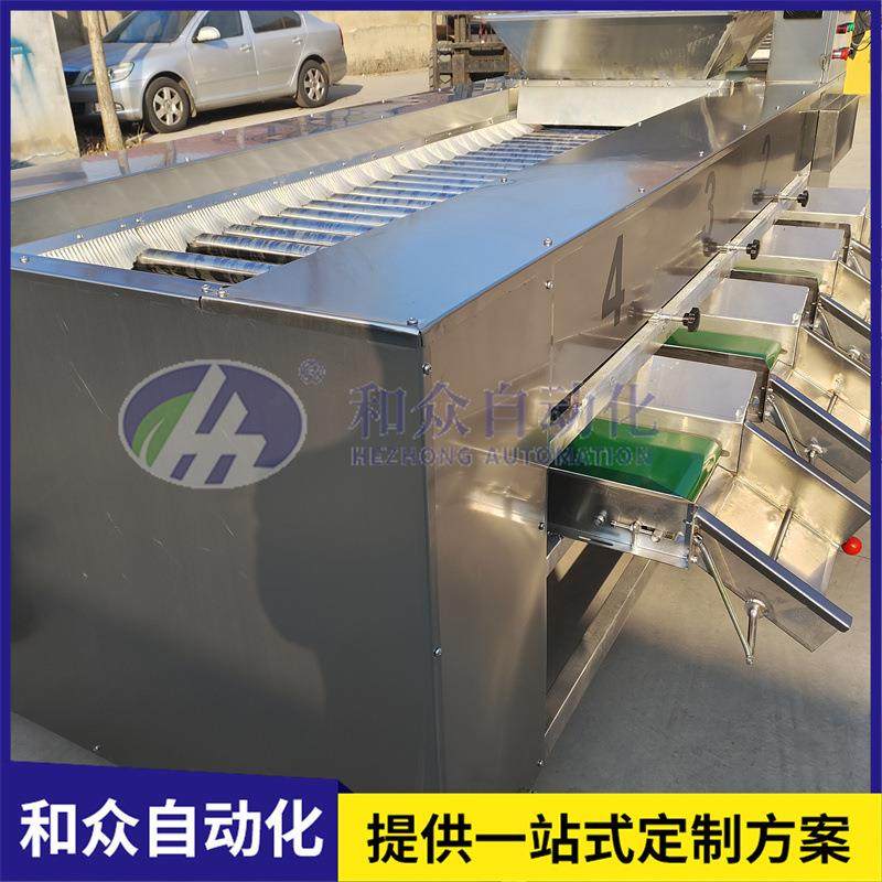 土豆分选机红薯洋葱滚杠式分选机工业大型果蔬分选机选果机,清洗/食品/商业设备,其他食品加工设备,淘宝优惠券,粉丝福利购,淘宝优惠卷