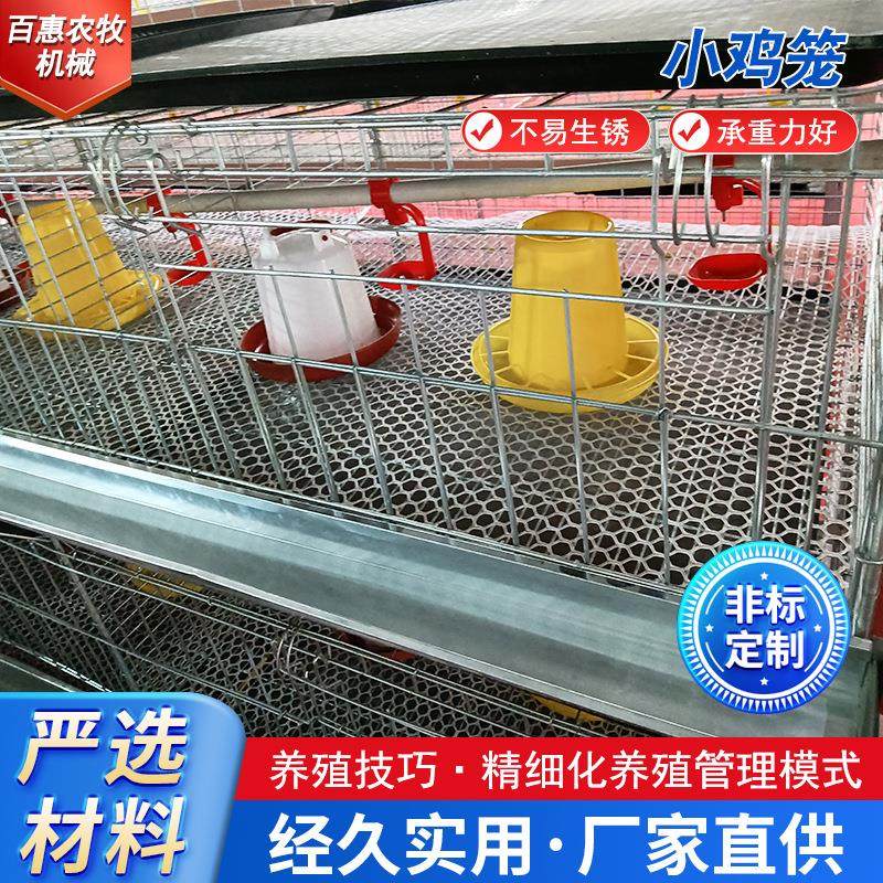 立式小鸡笼育雏鸡笼防锈镀锌养殖设备鸡舍养鸡笼厂家供应,畜牧/养殖物资,畜牧/养殖器械,淘宝优惠券,粉丝福利购,淘宝优惠卷