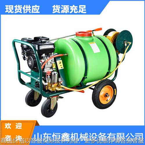 推车式汽油柴油机打药机养殖场消毒机高压农用遥控喷雾器厂家