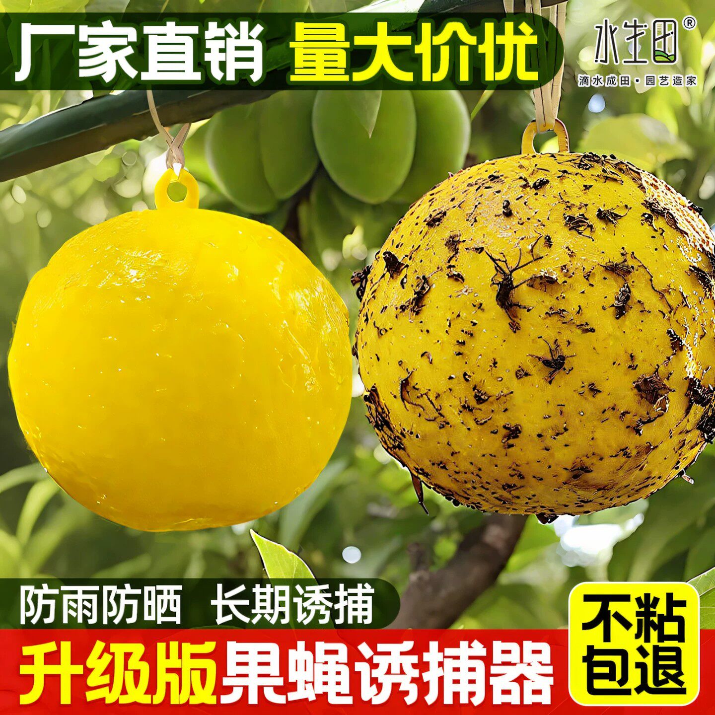 强力黄色粘虫诱蝇球菜园家用