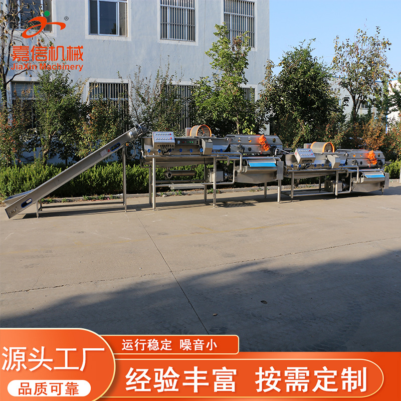 多功能黑水虻清洗机 面包虫清洗烘干机 虫子清洗深加工成套设备