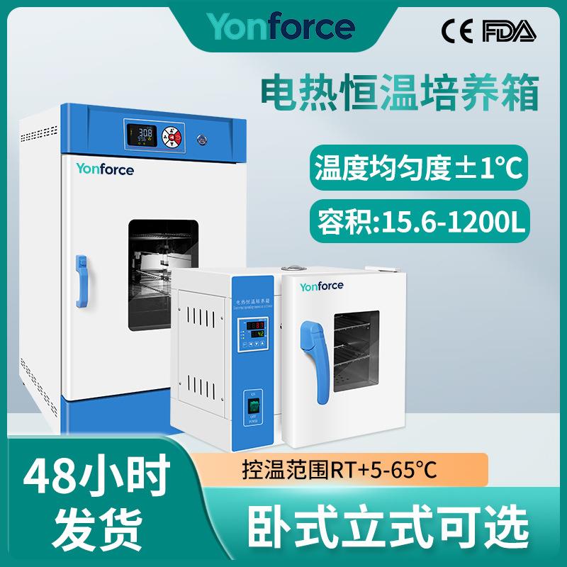 电热恒温培养箱实验室微生物种子发芽电热恒温培养箱